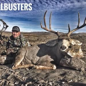 Meet your Posher, Cj